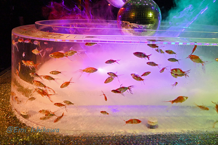 grp1029184848.jpg 700467 187K