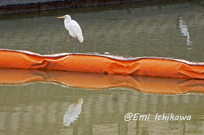 grp1213181807.jpg 700��465 155K