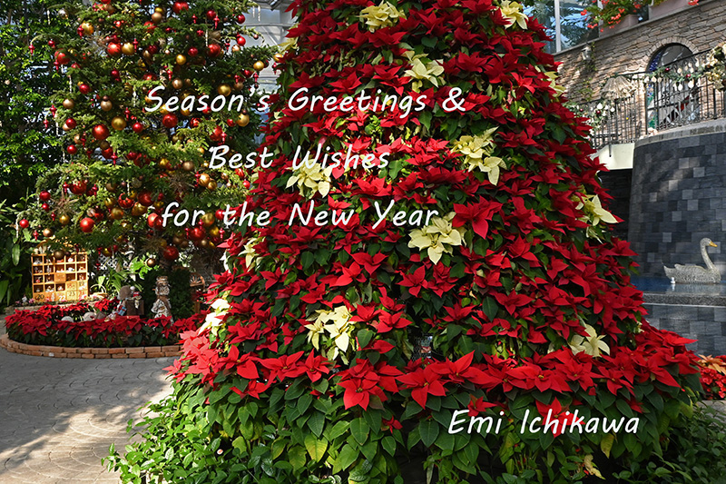 grp1221121406.jpg 800��533 387K