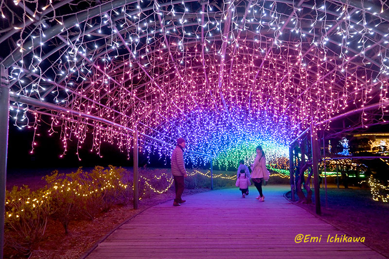 grp0105123543.jpg 800��533 238K