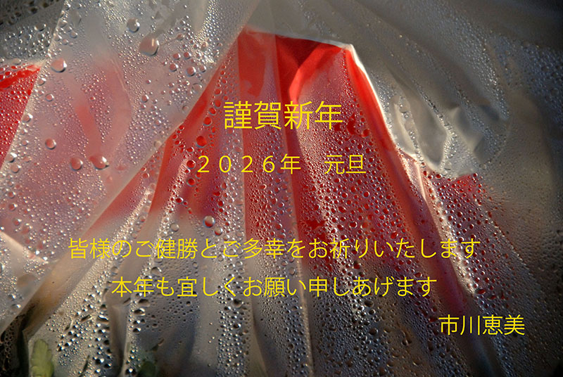 grp0105124631.jpg 800��536 197K