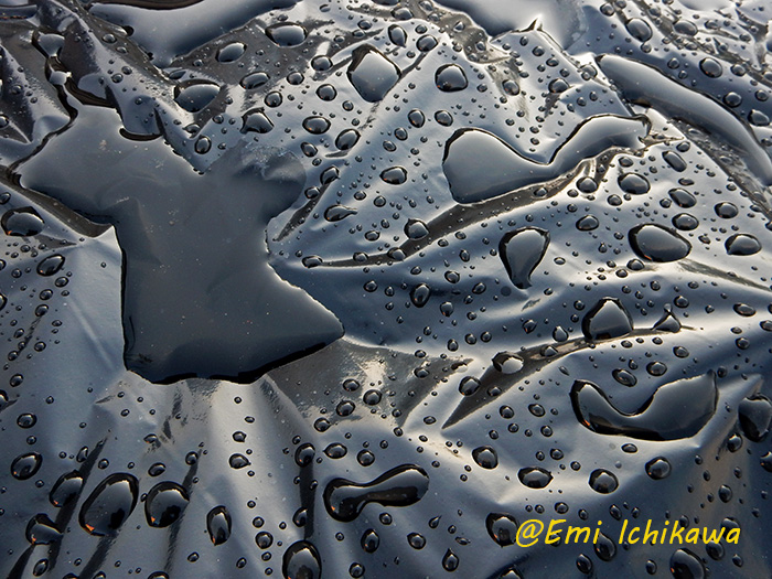 grp0113204718.jpg 700��525 241K