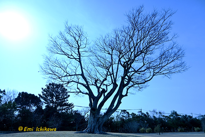 grp0116180528.jpg 700��467 229K