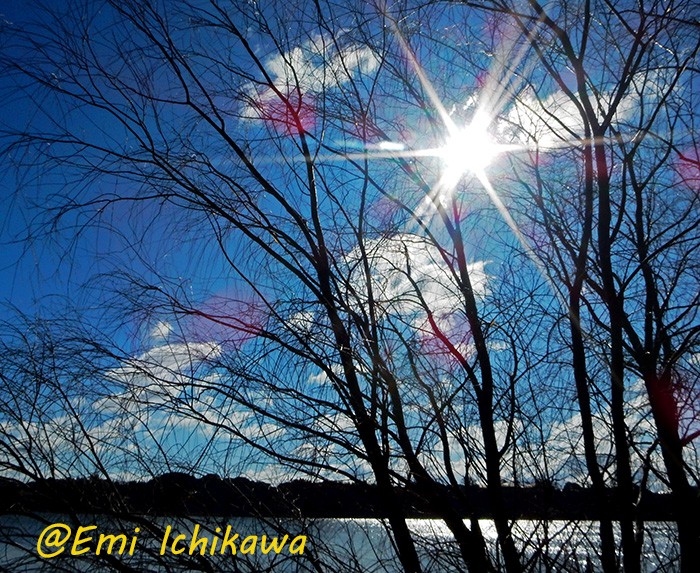 grp0125174149.jpg 700��573 343K