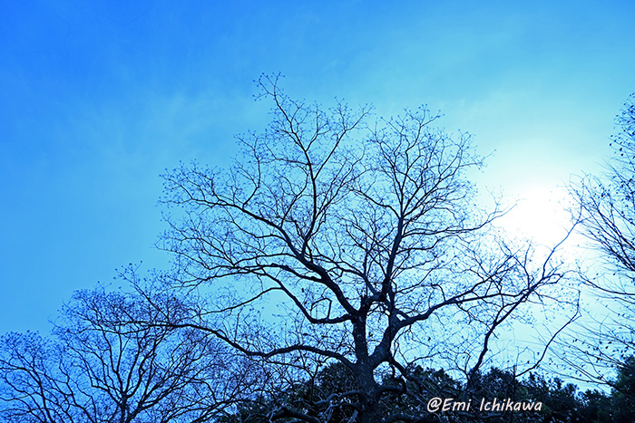 grp0215124751.jpg 700��467 277K