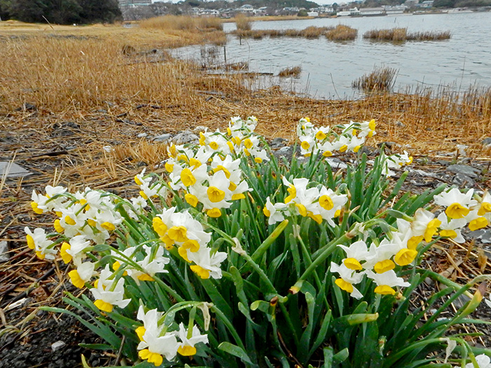 grp0225181322.jpg 700��525 301K