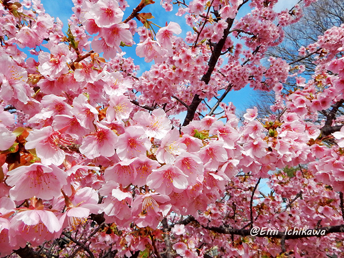 grp0308133939.jpg 700��525 328K