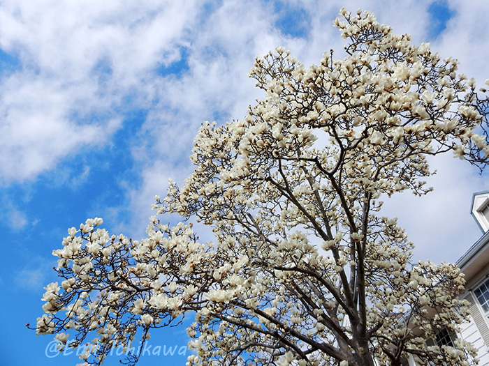 grp0311175956.jpg 700��525 283K